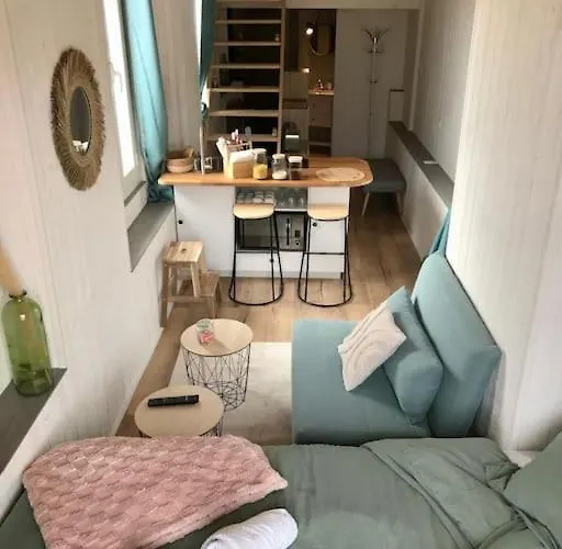 Lumineux Sous Les Toits De Mentona